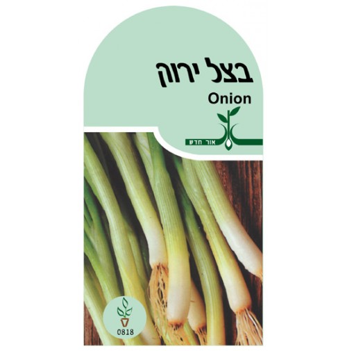 זרעי בצל ירוק אורגני 